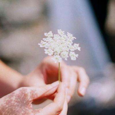 乐鱼app(中国体育)官方网站手机app下载